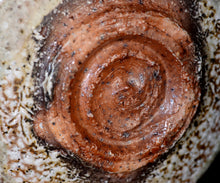 画像をギャラリービューアに読み込む, 竹下鹿丸 相継幽白磁茶盌