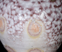 画像をギャラリービューアに読み込む, 竹下鹿丸 白磁壺