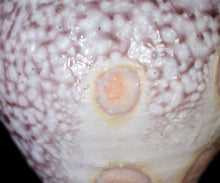 画像をギャラリービューアに読み込む, 竹下鹿丸 白磁壺