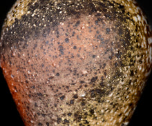 画像をギャラリービューアに読み込む, 竹下鹿丸 自然釉壺