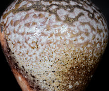 画像をギャラリービューアに読み込む, 竹下鹿丸 自然釉壺