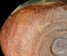 Load image into Gallery viewer, Shinjiro Aika Shigaraki chawan