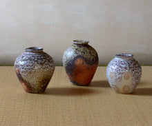 画像をギャラリービューアに読み込む, 竹下鹿丸 自然釉壺