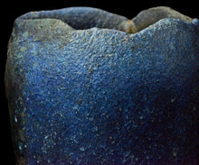 画像をギャラリービューアに読み込む, 後関裕士 蒼変黒酒呑