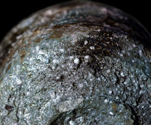 画像をギャラリービューアに読み込む, 今西公彦 丹波茶盌