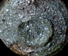 画像をギャラリービューアに読み込む, 今西公彦 丹波茶盌