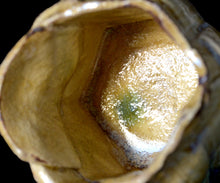 画像をギャラリービューアに読み込む, 松村遷 本沼淡雪手黄瀬戸 象亀酒盃