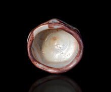 画像をギャラリービューアに読み込む, 塚本治彦 志野ぐい呑