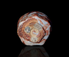 画像をギャラリービューアに読み込む, 塚本治彦 志野ぐい呑