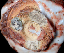 画像をギャラリービューアに読み込む, 塚本治彦 志野ぐい呑