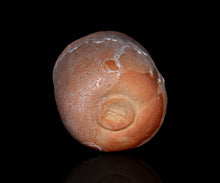 Load image into Gallery viewer, Tori Yoshino Daido chawan