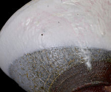 Load image into Gallery viewer, Hiroshi Gozeki Hakudei chawan
