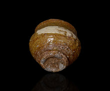 Load image into Gallery viewer, Hiroshi Tsuuji Iraho Shioge Guinomi