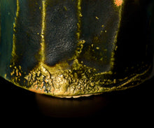 画像をギャラリービューアに読み込む, 加藤亮太郎 織部茶盌