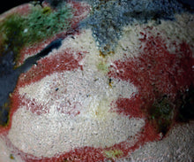 画像をギャラリービューアに読み込む, 吉見螢石 窯変須恵茶盌 銘「錦秋」