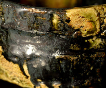 画像をギャラリービューアに読み込む, 塚本治彦 黒おりべ茶盌