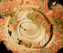 画像をギャラリービューアに読み込む, 塚本治彦 黒おりべ茶盌