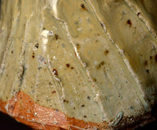 画像をギャラリービューアに読み込む, マイケルマルティノ 朝鮮唐津茶盌