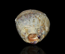 画像をギャラリービューアに読み込む, ジェフシャピロ 白釉茶盌 "EVEREST"