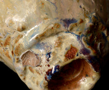 画像をギャラリービューアに読み込む, ジェフシャピロ 白釉茶盌 "EVEREST"