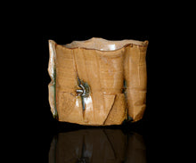 画像をギャラリービューアに読み込む, 松村遷 本沼手黄瀬戸掛分茶盌 銘「金盞花」