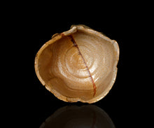 画像をギャラリービューアに読み込む, 松村遷 本沼手黄瀬戸掛分茶盌 銘「金盞花」