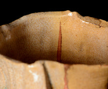 画像をギャラリービューアに読み込む, 松村遷 本沼手黄瀬戸掛分茶盌 銘「金盞花」