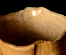 画像をギャラリービューアに読み込む, 松村遷 本沼手黄瀬戸掛分茶盌 銘「金盞花」