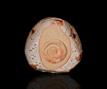 画像をギャラリービューアに読み込む, 光藤佐 志野茶盌