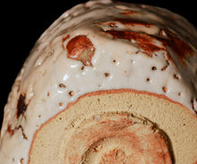 画像をギャラリービューアに読み込む, 光藤佐 志野茶盌