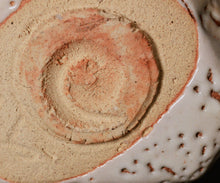 画像をギャラリービューアに読み込む, 光藤佐 志野茶盌