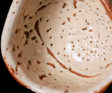 画像をギャラリービューアに読み込む, 光藤佐 志野茶盌