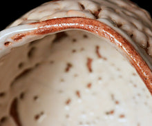 画像をギャラリービューアに読み込む, 光藤佐 志野茶盌