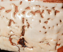 画像をギャラリービューアに読み込む, 光藤佐 志野茶盌