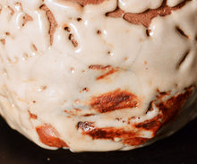 画像をギャラリービューアに読み込む, 光藤佐 志野茶盌