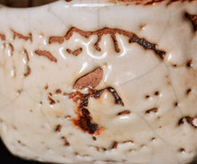 画像をギャラリービューアに読み込む, 光藤佐 志野茶盌