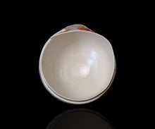 画像をギャラリービューアに読み込む, アーグネスフス 七彩茶盌 しらなみ