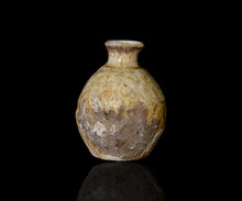 画像をギャラリービューアに読み込む, 小林勇超 信楽窯変徳利