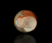 画像をギャラリービューアに読み込む, 小林勇超 信楽窯変徳利