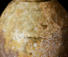 画像をギャラリービューアに読み込む, 小林勇超 信楽窯変徳利