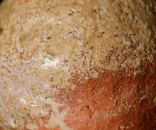 画像をギャラリービューアに読み込む, 小林勇超 信楽窯変徳利