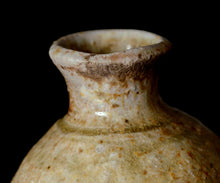 画像をギャラリービューアに読み込む, 小林勇超 信楽窯変徳利