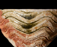 画像をギャラリービューアに読み込む, 小林勇超 信楽ぐいのみ