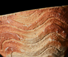 画像をギャラリービューアに読み込む, 小林勇超 信楽ぐいのみ