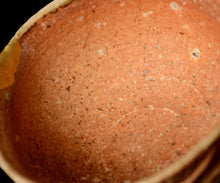 画像をギャラリービューアに読み込む, 小林勇超 信楽ぐいのみ