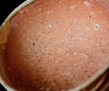 画像をギャラリービューアに読み込む, 小林勇超 信楽ぐいのみ