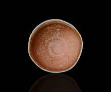 画像をギャラリービューアに読み込む, 小林勇超 信楽ぐいのみ