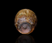 画像をギャラリービューアに読み込む, 小林勇超 信楽ぐいのみ