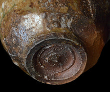 画像をギャラリービューアに読み込む, 小林勇超 信楽ぐいのみ