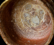 画像をギャラリービューアに読み込む, 小林勇超 信楽ぐいのみ